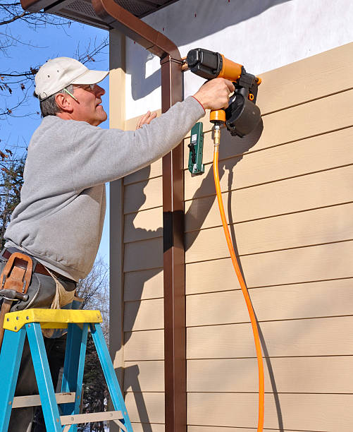 Best Historical Building Siding Restoration  in Plains, TX